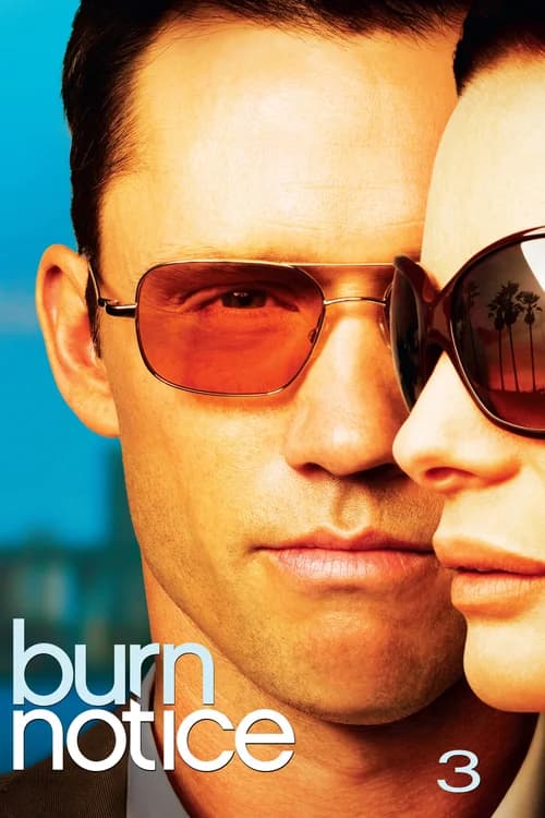 Poster phim Lệnh Thanh Trừng (Phần 3) (2007)
