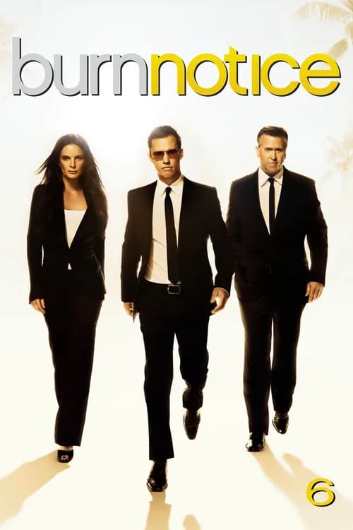 Poster phim Lệnh Thanh Trừng (Phần 6) (2007)