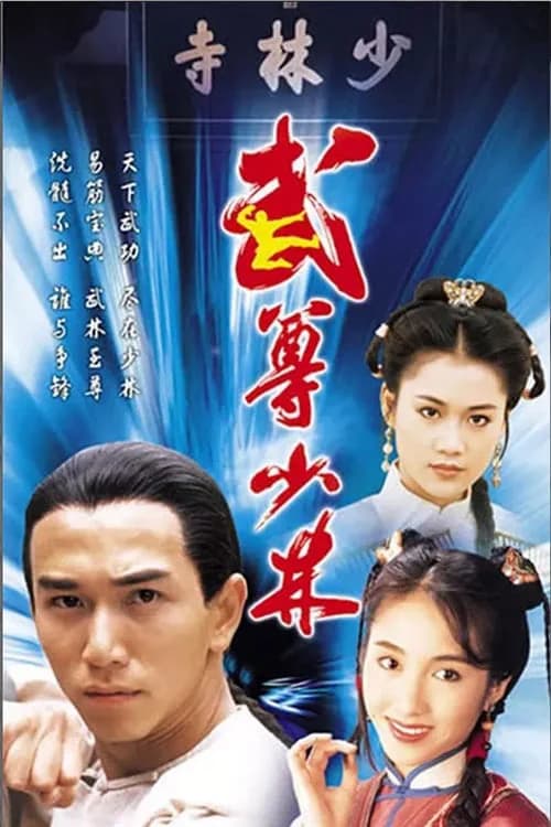 Poster phim Lò Võ Thiếu Lâm (1993)