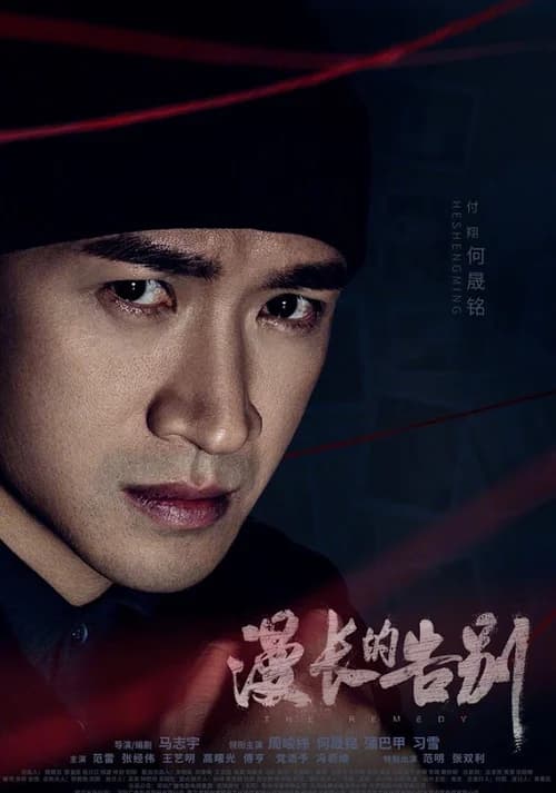 Poster phim Lời Dài Từ Biệt (2019)