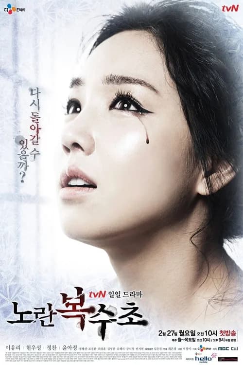 Poster phim Lửa Hận Tình Thù (2012)