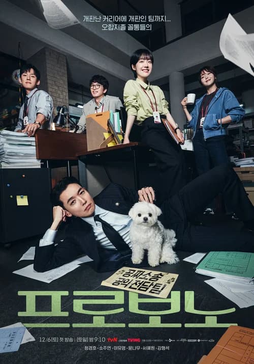 Poster phim Luật Sư Công Ích (2025)