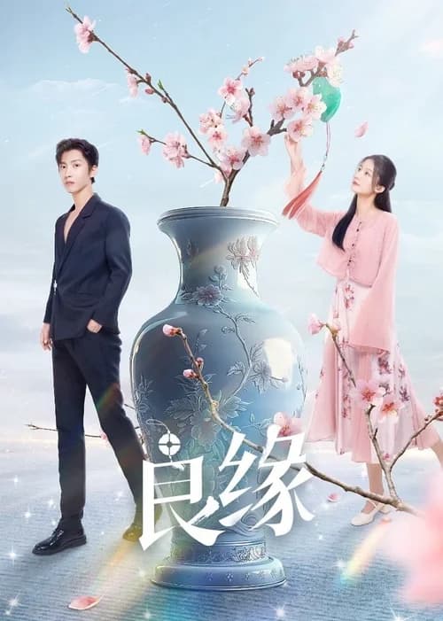 Poster phim Lương Duyên (2024)