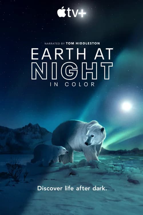 Poster phim Màn đêm trên Trái Đất (2020)