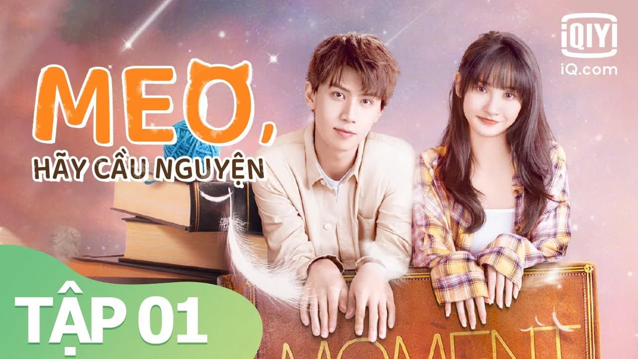 Backdrop phim Meo, Hãy Cầu Nguyện
