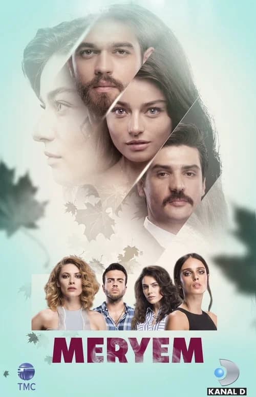 Poster phim Tình Yêu Bí Mật (2018)