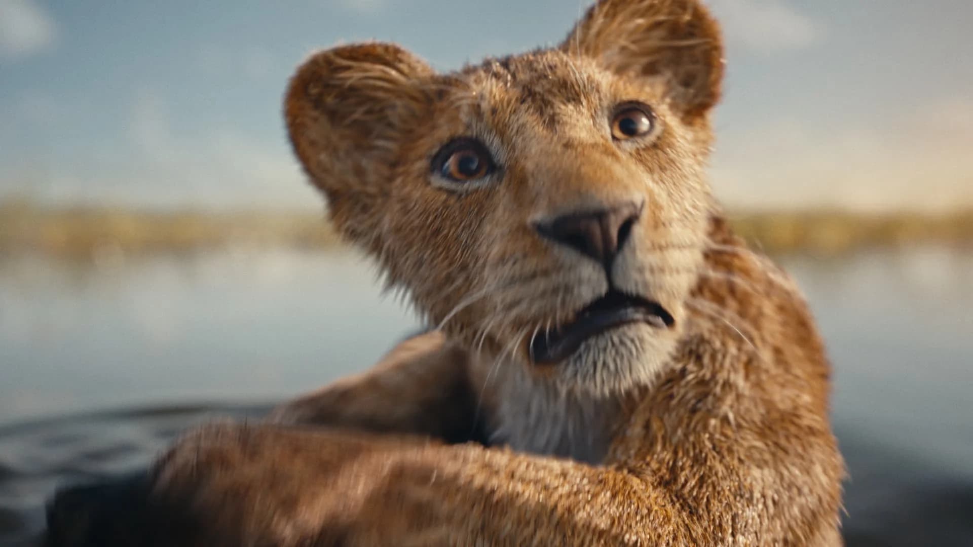 Backdrop phim Mufasa: Vua Sư Tử