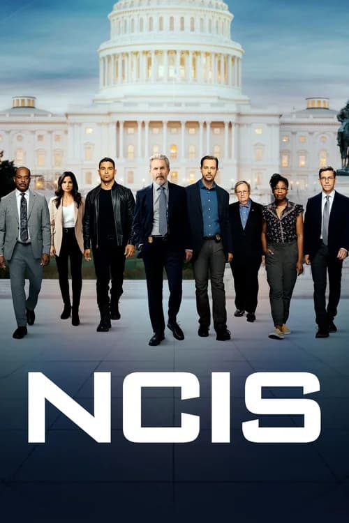 Poster phim NCIS (Phần 14) (2003)
