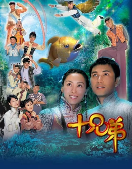 Poster phim Người Anh Em (2007)