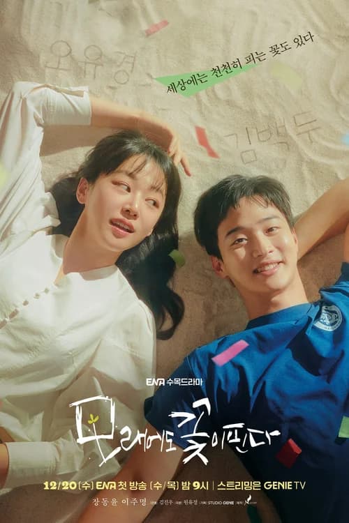 Poster phim Như Hoa Trên Cát (2023)