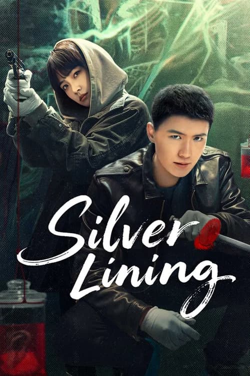 Poster phim Già Vân (2025)