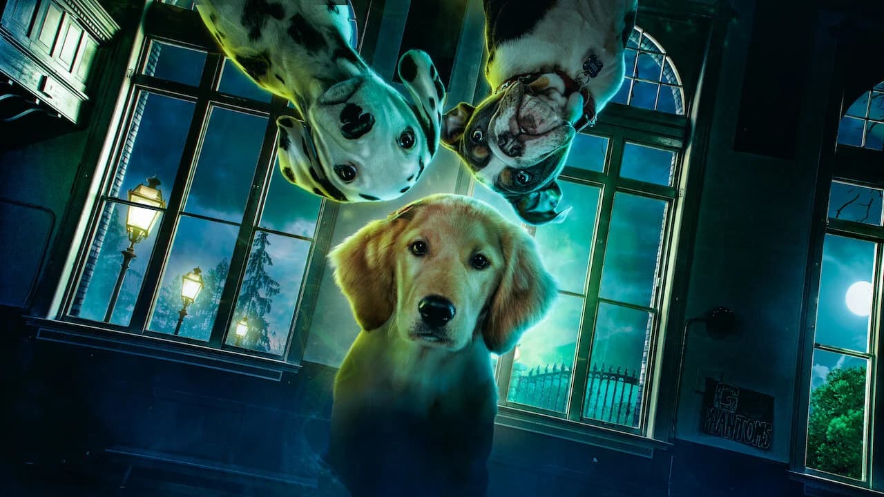 Backdrop phim Phantom Pups (Phần 1)