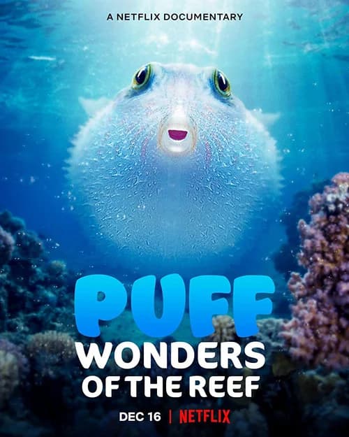 Poster phim Puff: Rạn san hô kỳ diệu (2021)