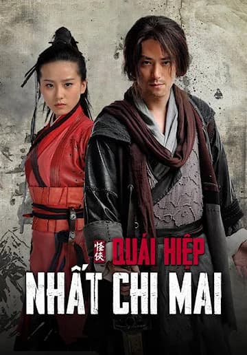 Poster phim Quái hiệp Nhất Chi Mai (2011)