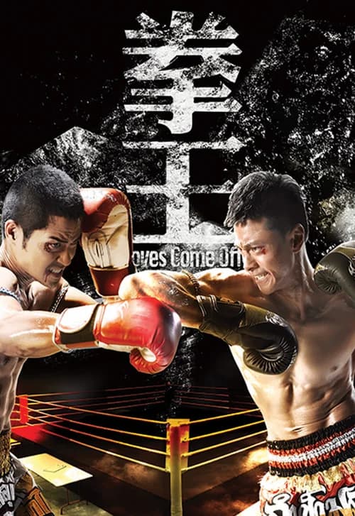 Poster phim Sàn Đấu Cuộc Đời - Quyền Vương (2012)
