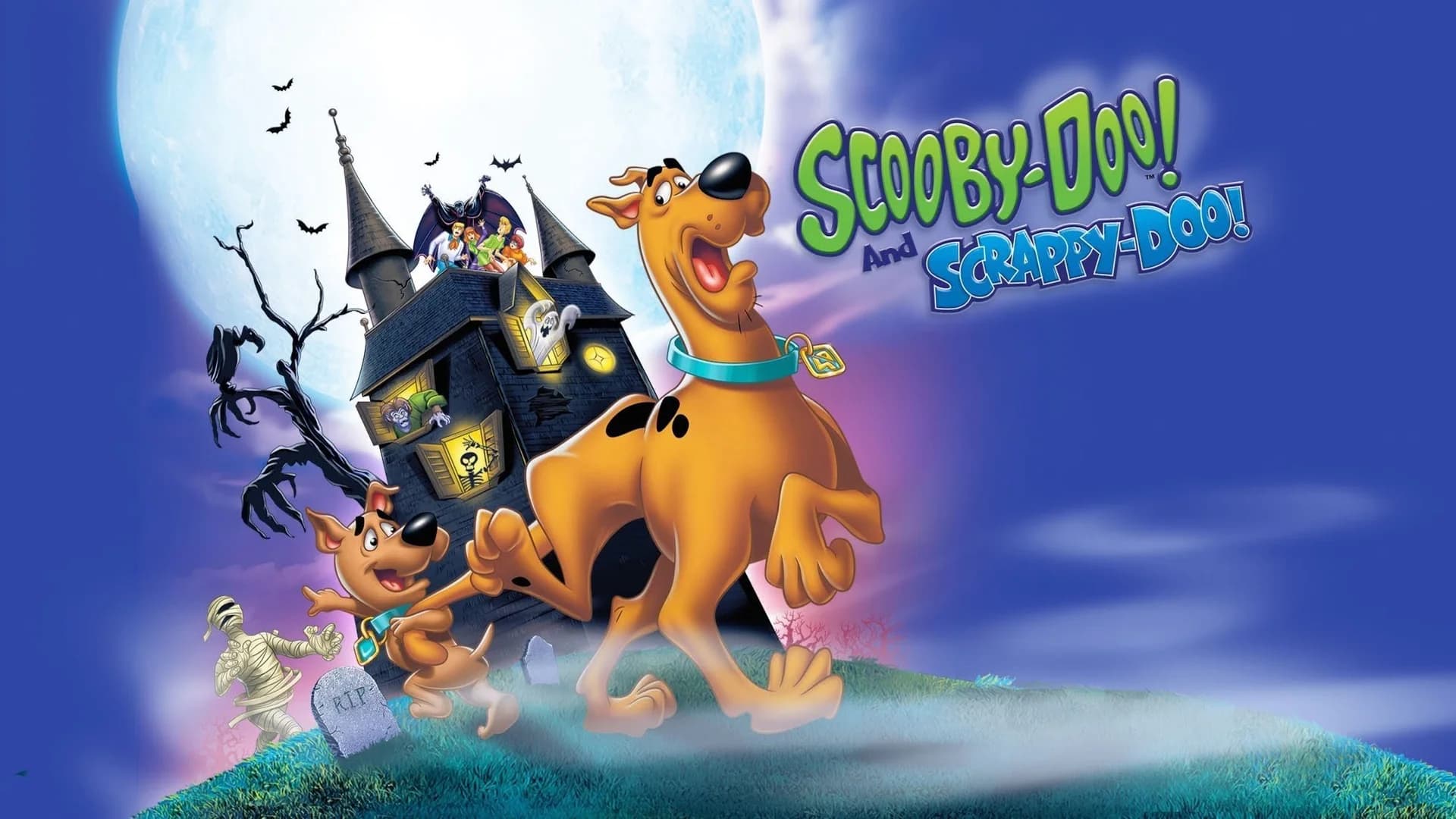 Backdrop phim Scooby-Doo and Scrappy-Doo (Phần 5)
