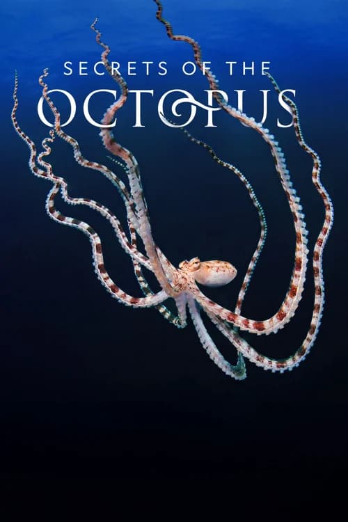 Poster phim Secrets of the Octopus (2024)