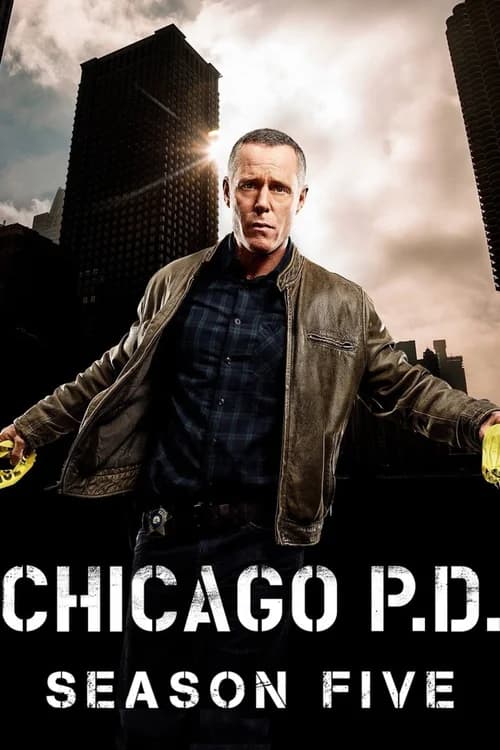 Poster phim Sở Cảnh Sát Chicago (Phần 5) (2014)