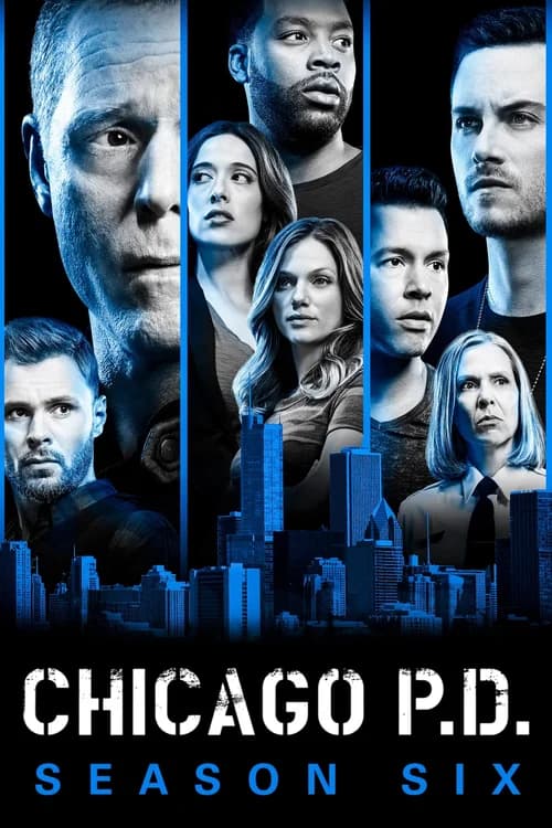 Poster phim Sở Cảnh Sát Chicago (Phần 6) (2014)