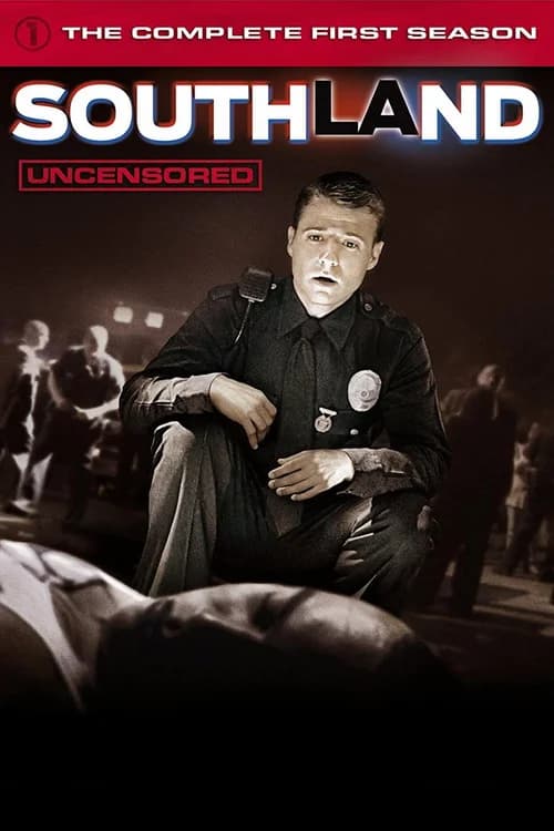 Poster phim Southland (Phần 1) (2009)
