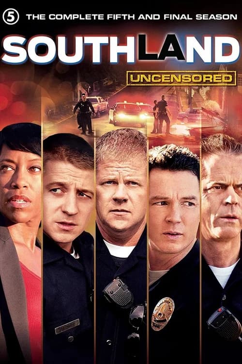 Poster phim Southland (Phần 5) (2013)