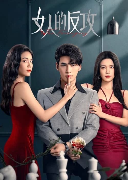Poster phim Sự Phản Công Của Phụ Nữ (2024)