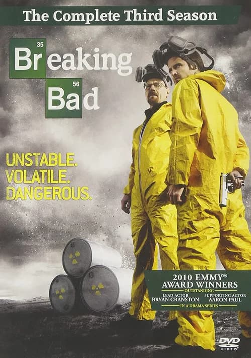 Poster phim Tập làm người xấu (Phần 3) (2008)