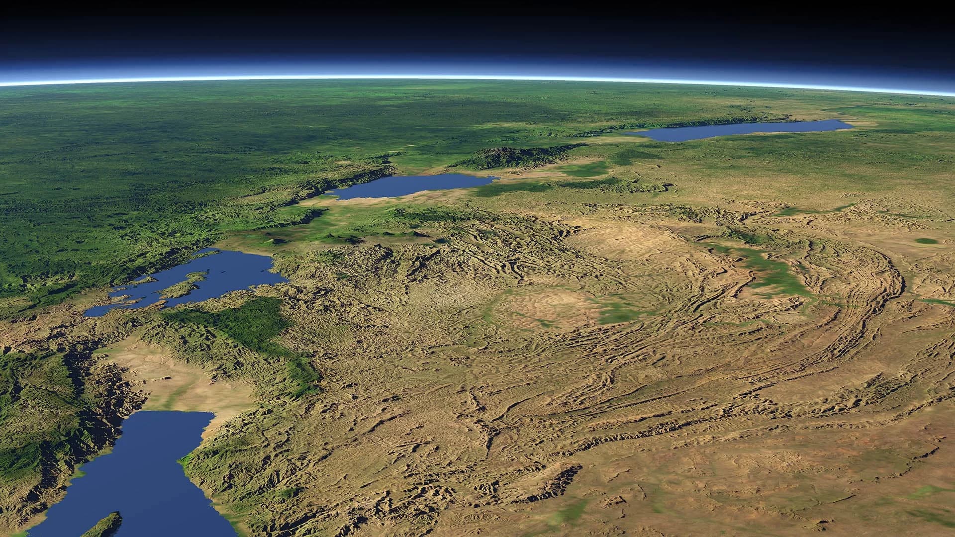 Backdrop phim The Great Rift: Africa's Wild Heart