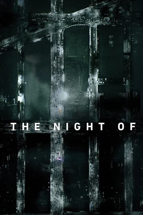 Poster phim The Night Of (2016)