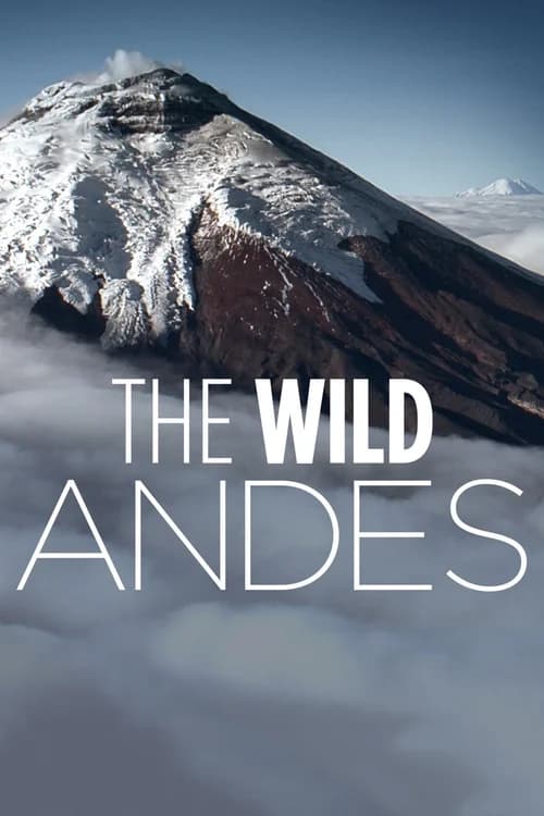 Poster phim The Wild Andes (2018)
