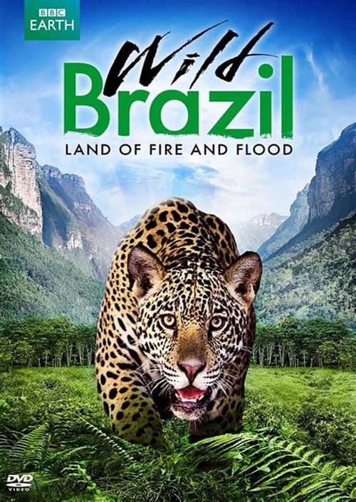 Poster phim Thiên Nhiên Brazil Hoang Dã (2014)