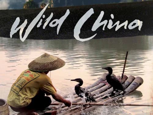 Backdrop phim Thiên Nhiên Hoang Dã Trung Quốc