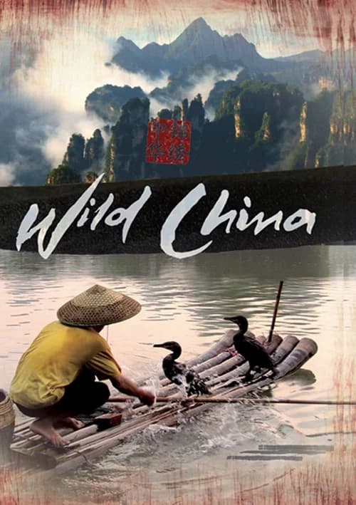 Poster phim Thiên Nhiên Hoang Dã Trung Quốc (2008)