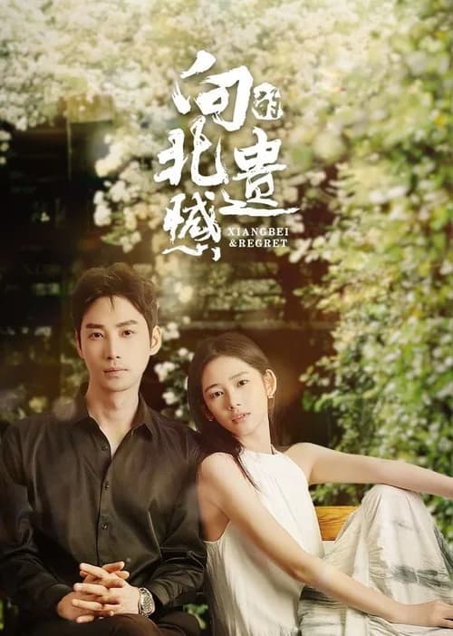 Poster phim Tiếc Nuối Của Hướng Bắc (2024)
