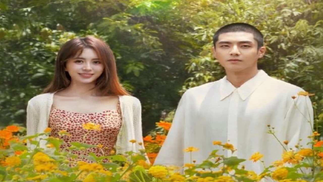 Backdrop phim Tiên Sinh Ẩn Cư Yêu Dấu