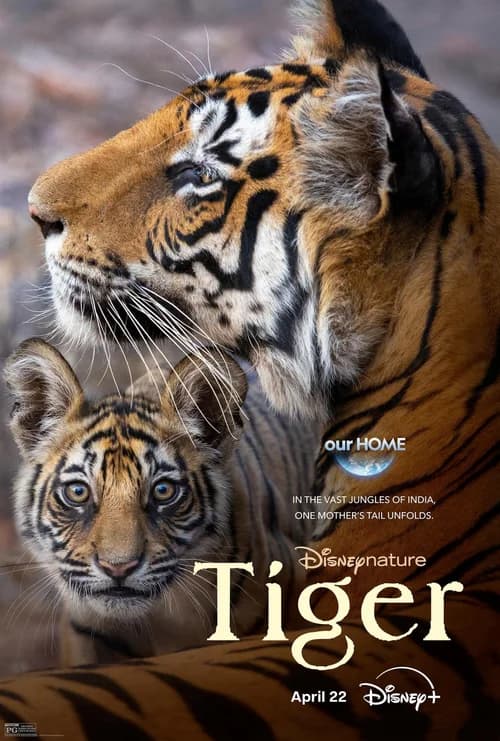 Poster phim Tiger (2024)