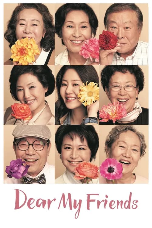 Poster phim Tình bạn tuổi xế chiều (2016)