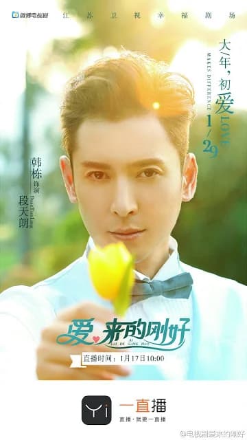 Poster phim Tình Yêu Đến Đúng Lúc (2017)