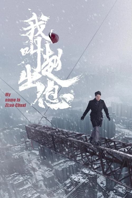 Poster phim Tôi Là Triệu Xuất Tức (2025)