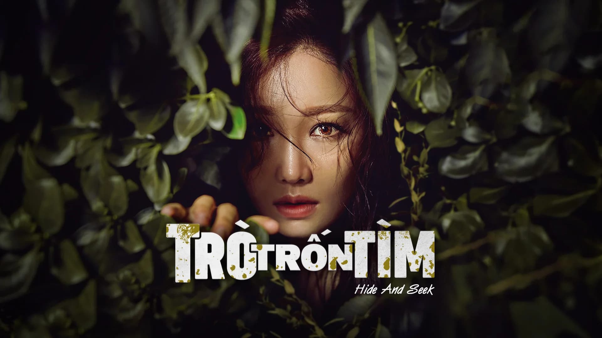 Backdrop phim Trò Trốn Tìm