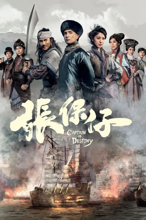 Poster phim Trương Bảo Tử (2015)