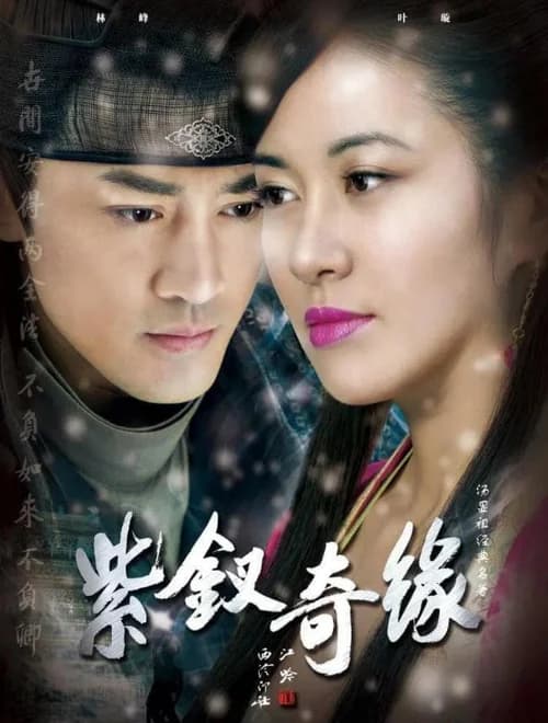 Poster phim Tử Hoa Kỳ Duyên (2013)