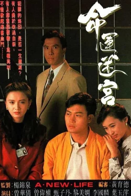 Poster phim Vận Mệnh Mê Cung (1991)