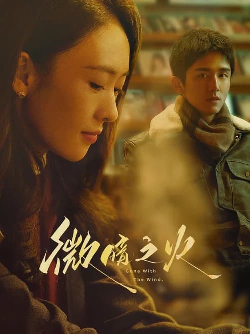Poster phim Vi Ám Chi Hoả (2024)