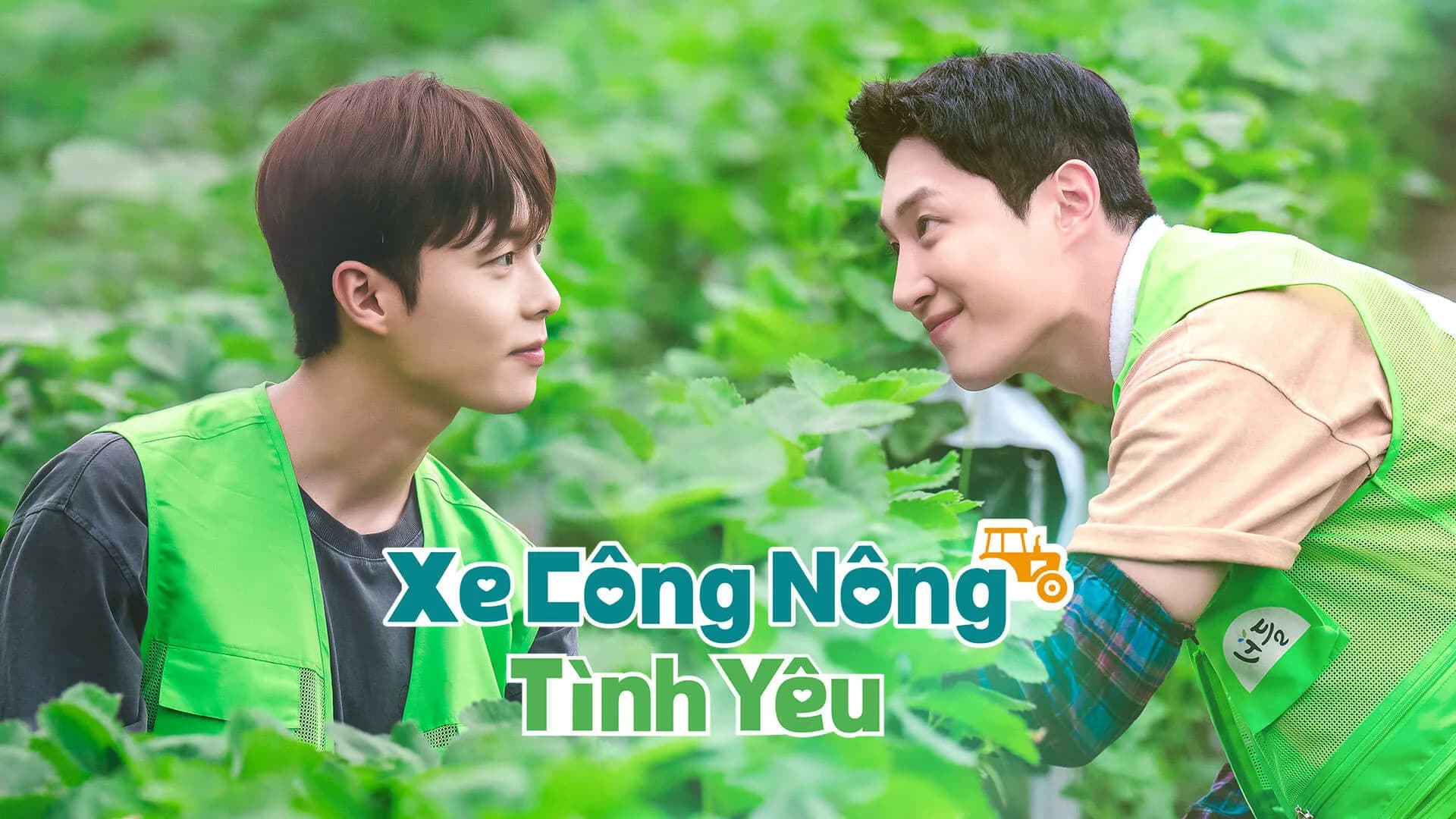 Backdrop phim Xe Công Nông Tình Yêu