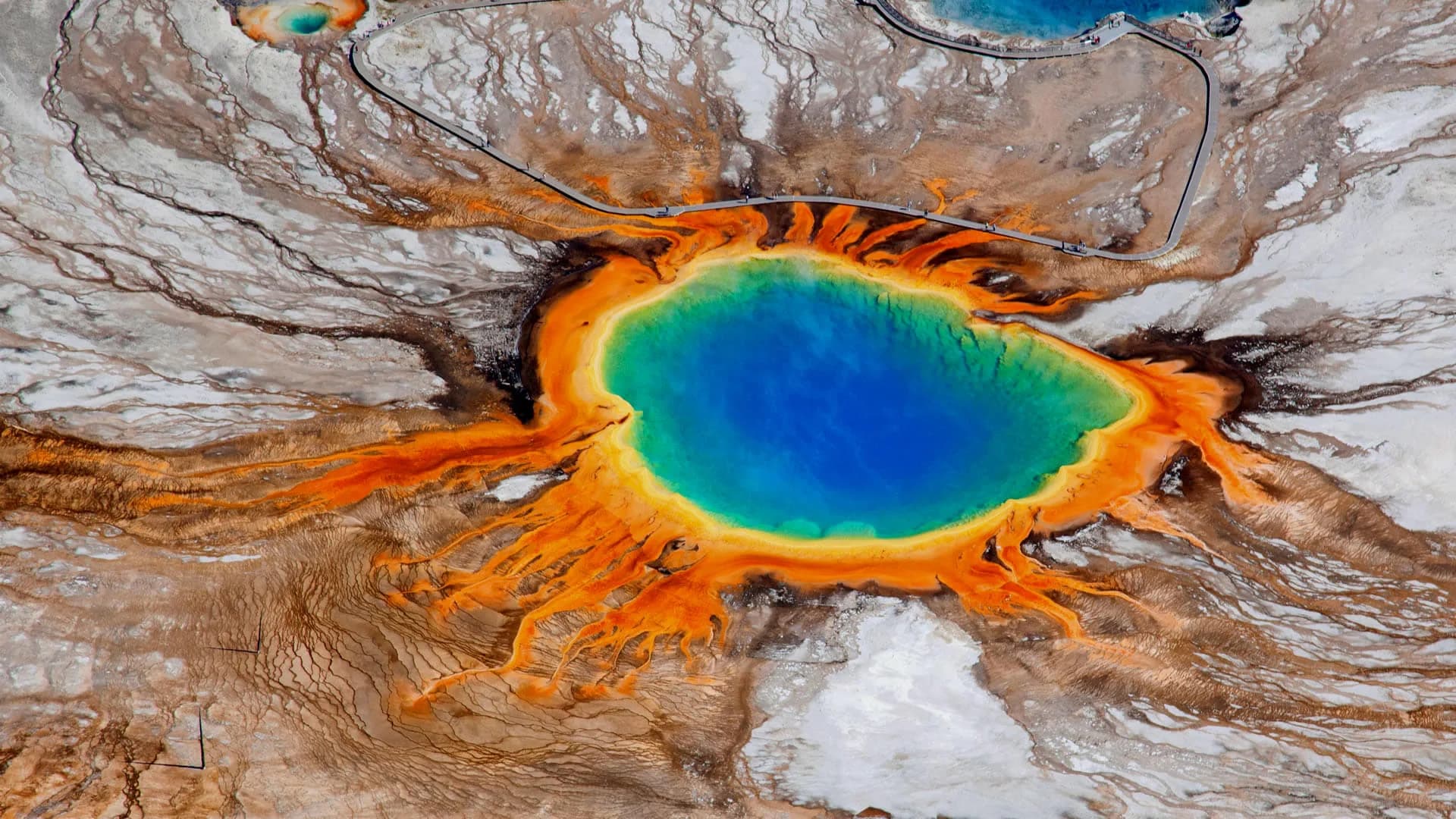 Backdrop phim Yellowstone