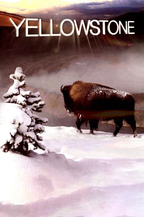 Poster phim Yellowstone (2009)
