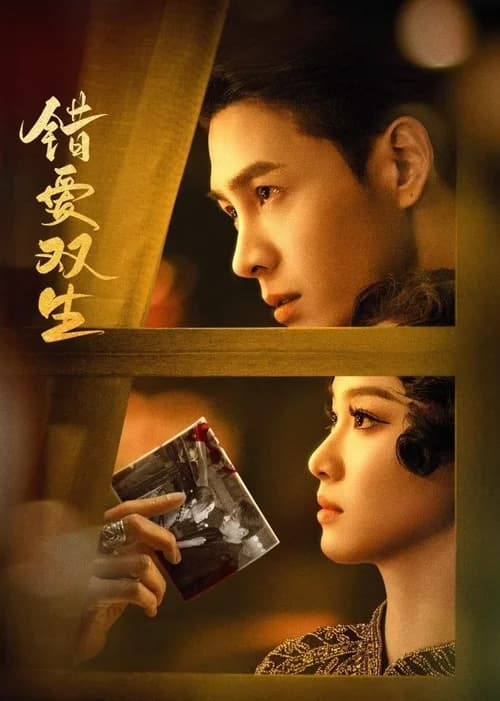 Poster phim Yêu Nhầm Song Sinh (2024)