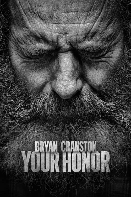 Poster phim Your Honor (2020)